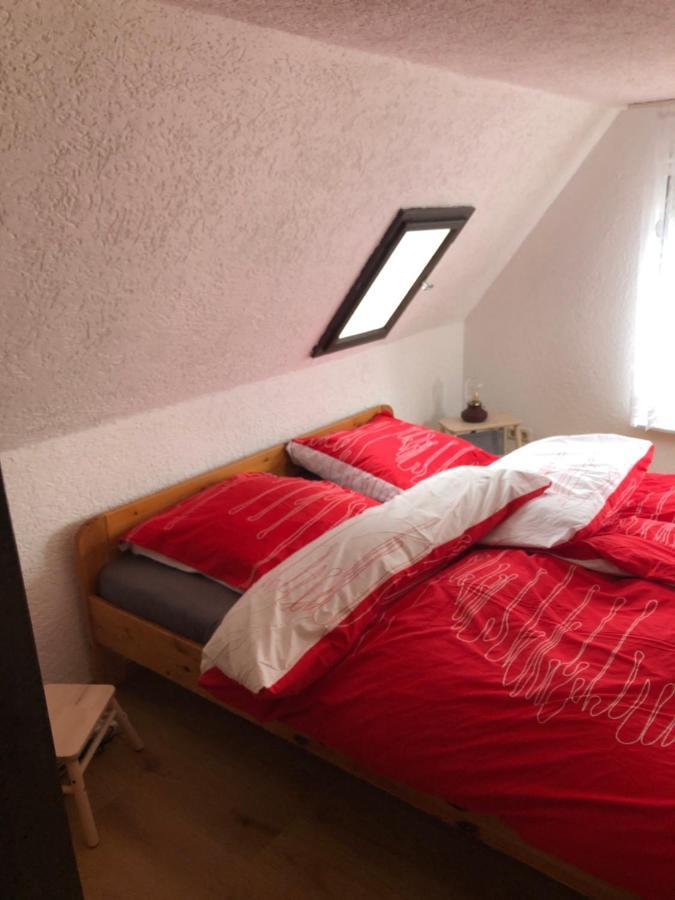 Ferienhaus Zentral & Gruen 莱比锡 外观 照片